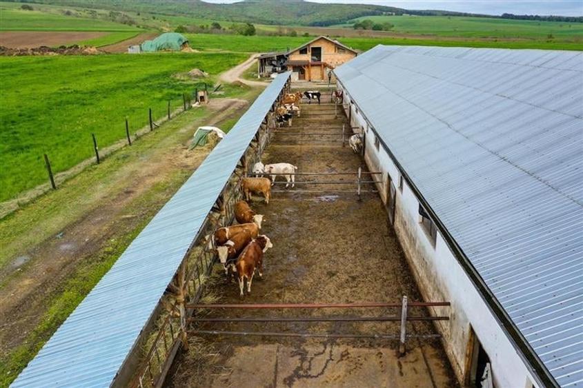 Film&Tur! Domeniu pe 222.000mp+ Ferma +Anexe specifice+Constructie+
rezidential - 37