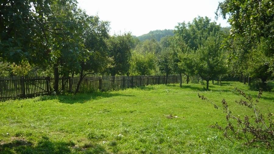 Teren in Agafton cu suprafata de 3800mp - 1