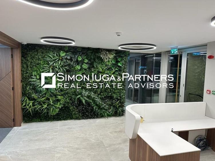 Birouri de inchiriat Brancusi - 5