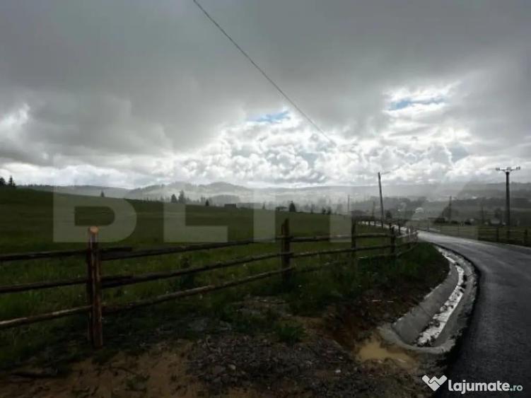 Teren de vanzare intravilan in Poiana Stampei, 2 hectare - 3
