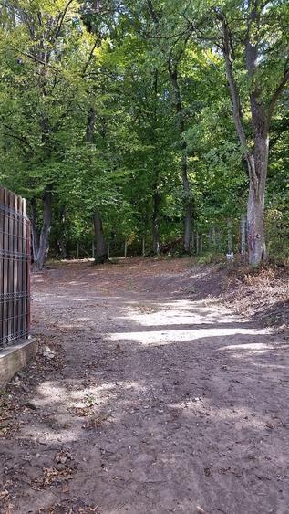 proprietar vand teren extravilan FELEAC - 3