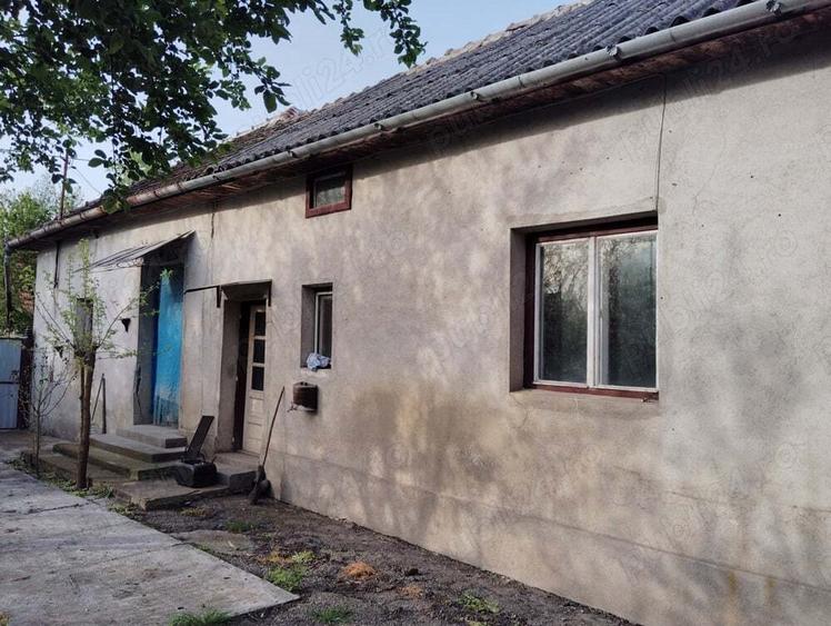 Casa tradi?ionala cu teren grneros - 4