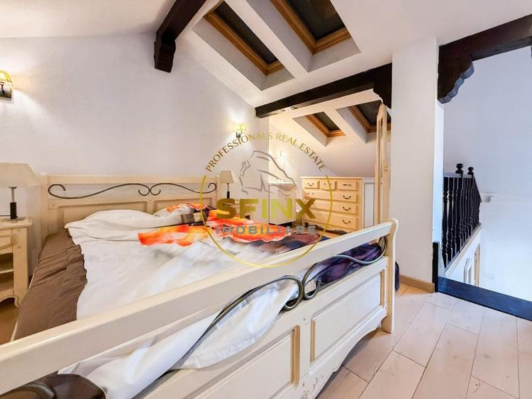 Vila eclectica individuala, curte proprie zona Armeneasca - 29