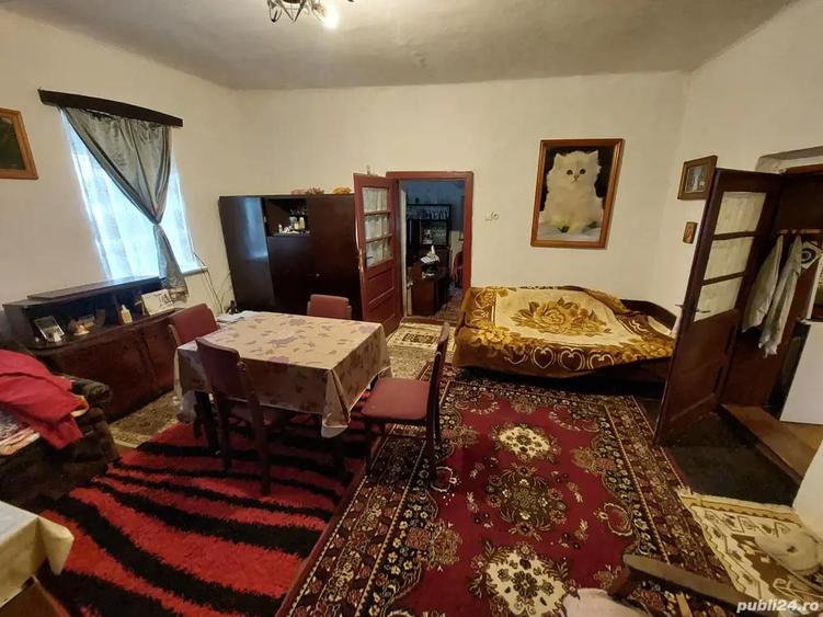 Vand casa batraneasca langa Lugoj - 2