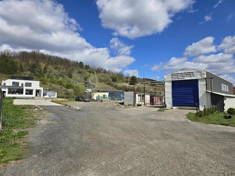 PROPRIETATE MULTIFUNCTIONALA | TEREN 3788 MP | SPALATORIE CAMIOANE + CASA |  DN1 - 1
