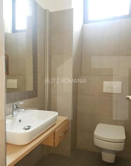 Spatiu in Piata Unirii cu potential pentru investitie