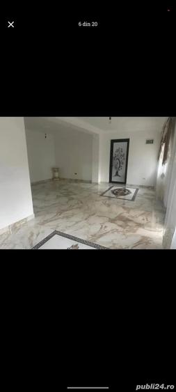 Casa de vinzare Peciu Nou - 1