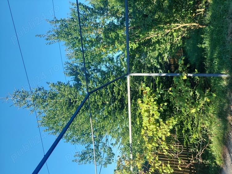 Vand vila jud Prahova com Drajna de Sus - 7