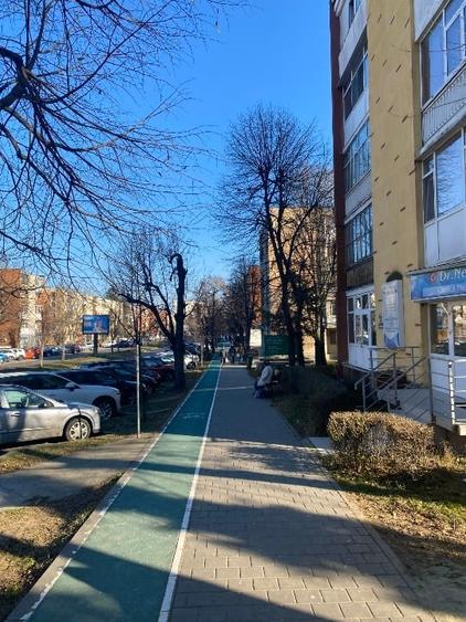 Apartament 2 camere, etaj 1,renovat complet, Calea București – lângă Expo Parc - 13