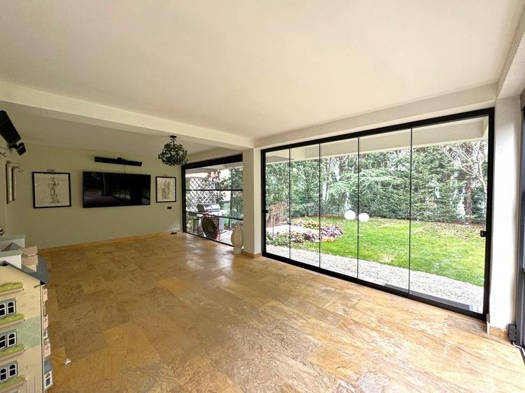 Vila Iancu Nicolae - 2