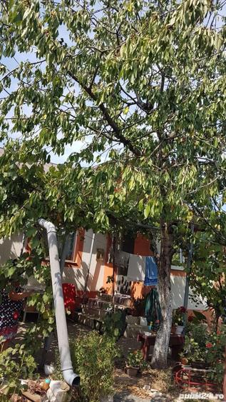 Casa 3 camere - Lazu | Teren 600 mp - 6