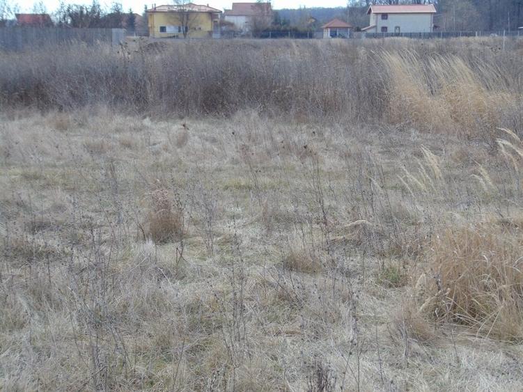 FARA COMISIOANE in spate la Carrefour Militari teren intravilan 15000mp - 1