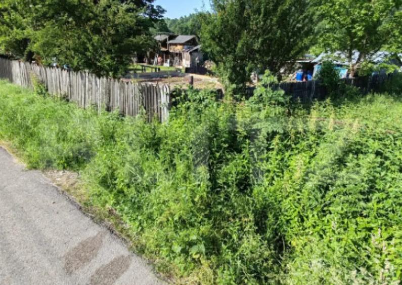 Teren intravilan, 1049 mp Cobia, sat Mislea ie?ire - 3