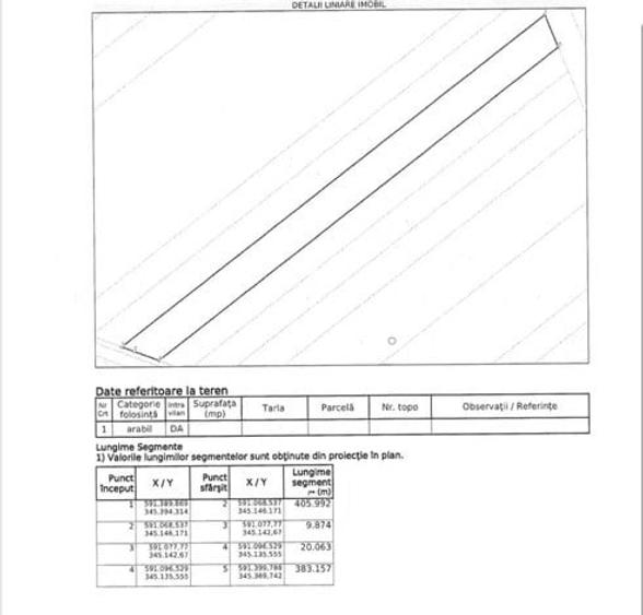 Teren intravilan 10.000 mp - Dimieni/Tunari - 2
