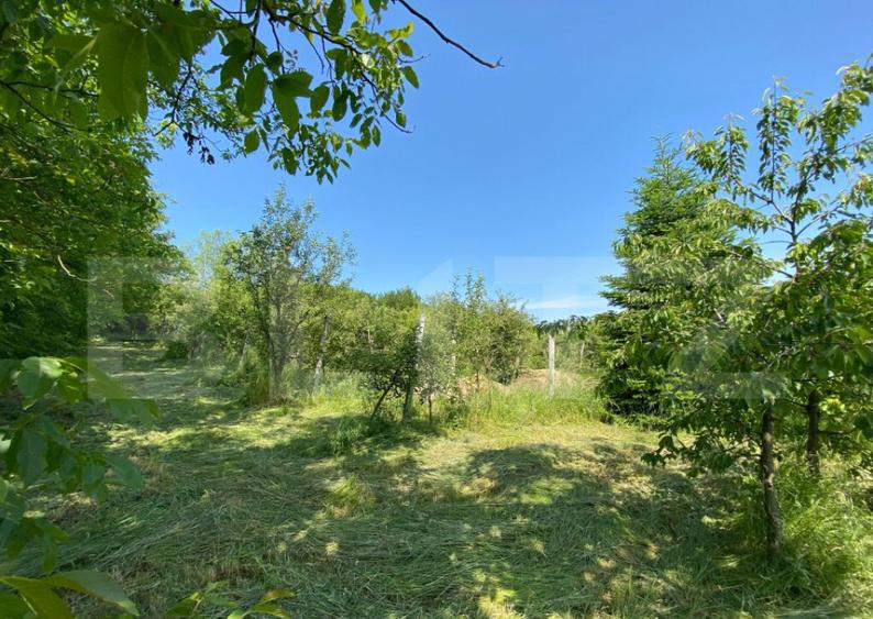 Teren intravilan de vanzare 30 ari Zona Podul Jelne - 3