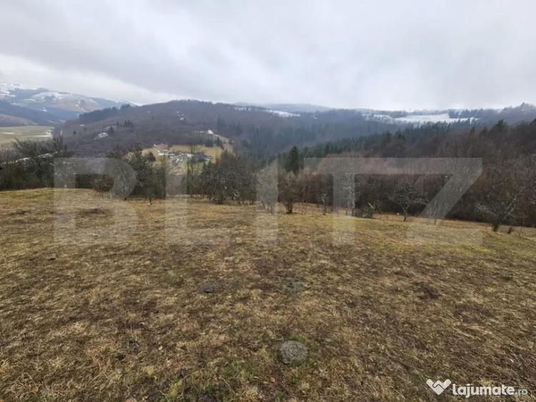 Casa de munte cu teren generos de 7.297 mp, Daroaia, comun - 11
