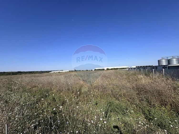Vânzare Teren Industrial – Ștefăneștii de Jos (22.800 mp) - 3