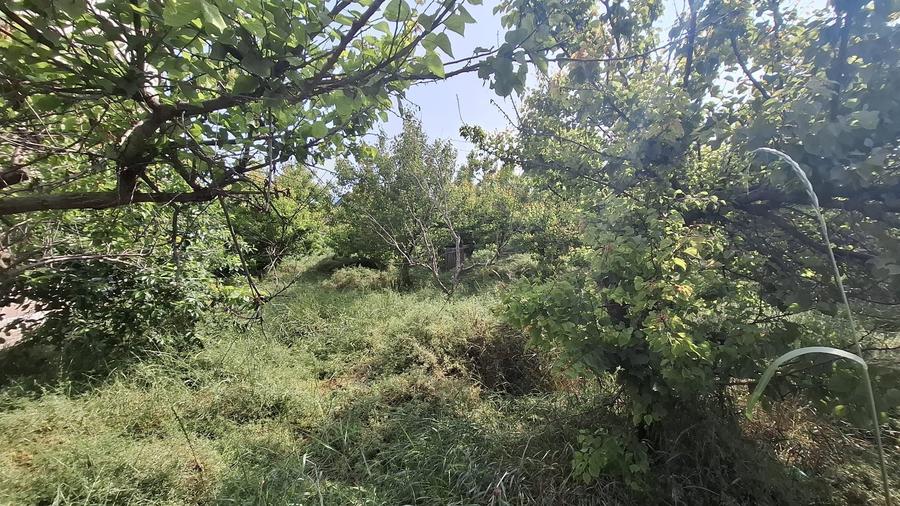 Kamsas - teren 1150 mp cu deschidere 30 ml - 3