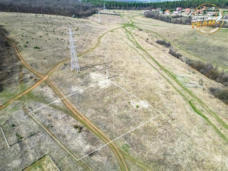2.000mp teren, investitional, in vecinatatea padurii, Simeria, Sfantu Gheorghe.