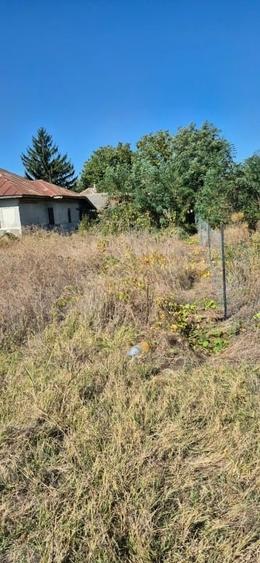 Casă individuală cu 3 camere cu Teren 1000 Mp în Curătești