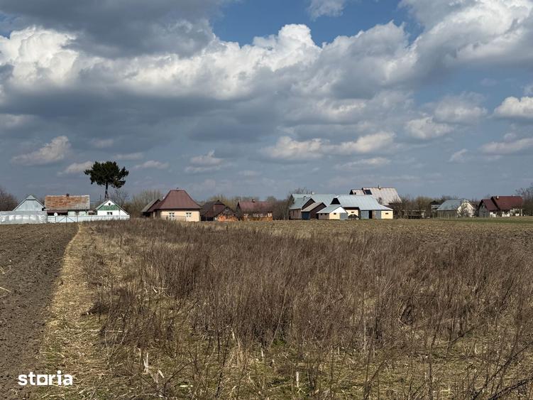 Teren de 3014 mp, în Frătăuții Vechi