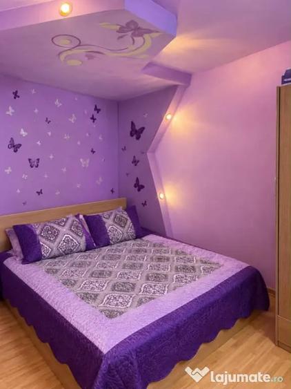 Apartament 2 camere, 42 mp, zona Bals - 2