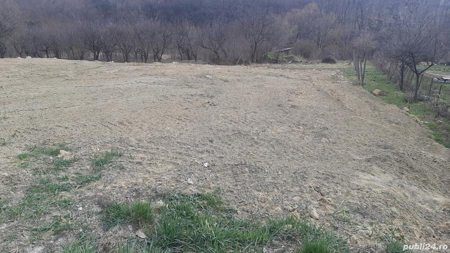 Teren de 1200 mp, în Podgoria