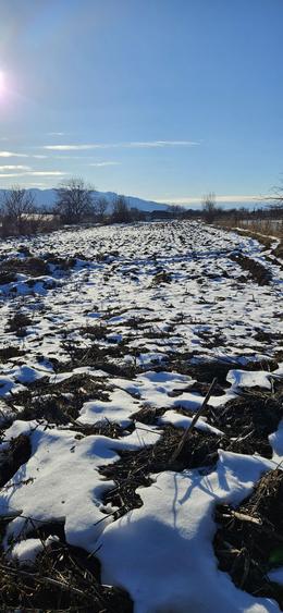 Teren intravilan 3500 mp com.Straoane - 3