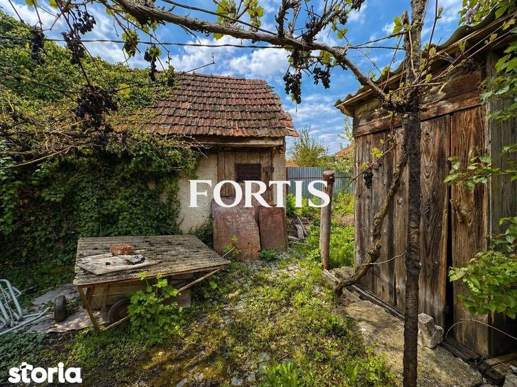 Casa de vanzare in Fagaras, zona 13 Decembrie 0% COMISION - 13