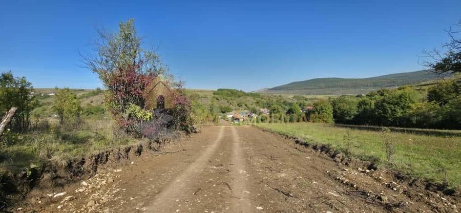 TEREN INTRAVILAN 11000 MP - 5