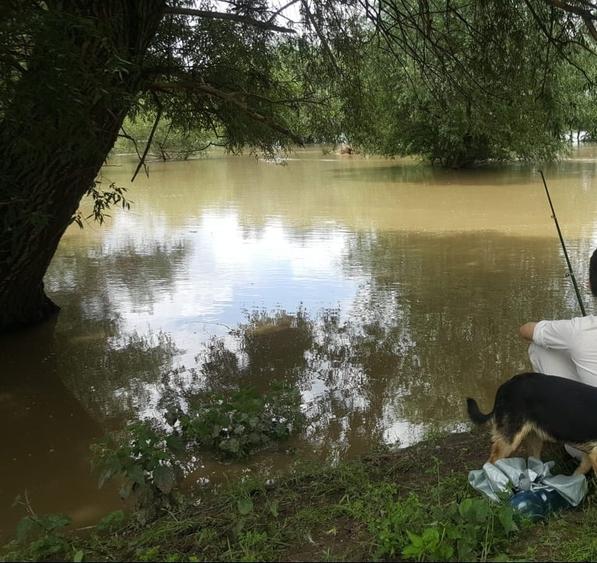 Apartament cu 3 camere de vanzare - 6