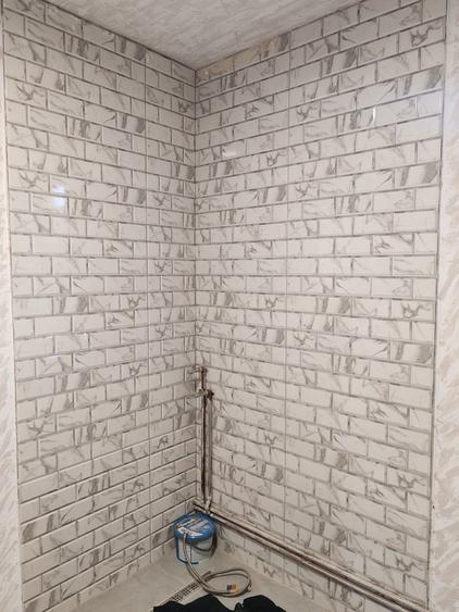 Vand casa in Petresti(Sebes) - 6