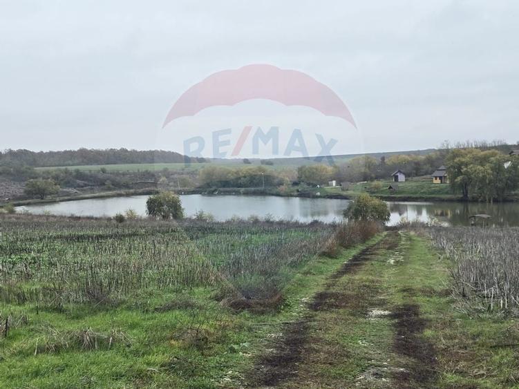 DE VANZARE LAC Pescuit sportiv 6,7ha + TEREN 6,3ha - 4