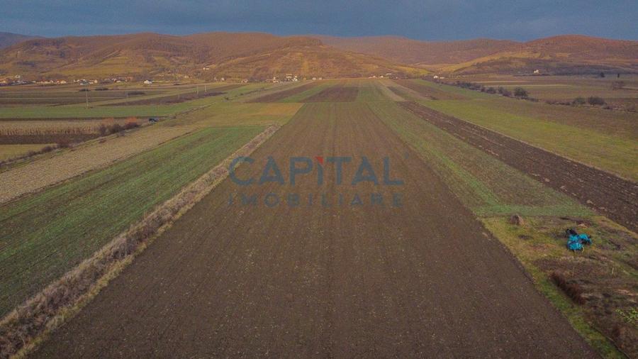 Comision 0%! Teren 23 600 mp, front 45 ml, la drum national, utilitaiti in fata - 4