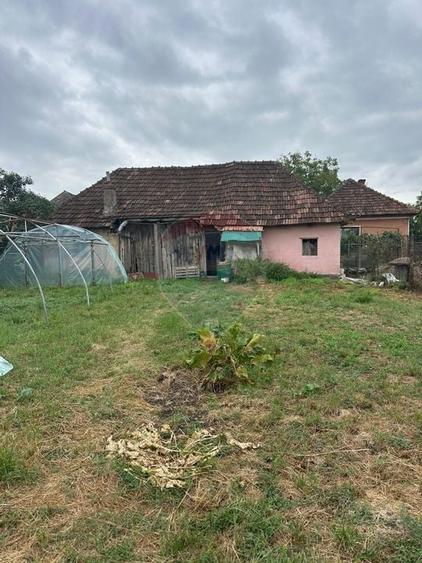 30 arii TEREN INTRAVILAN cu o GOSPODARIE veche - 4