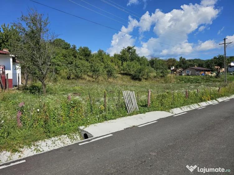 Loturi de vanzare! - 5