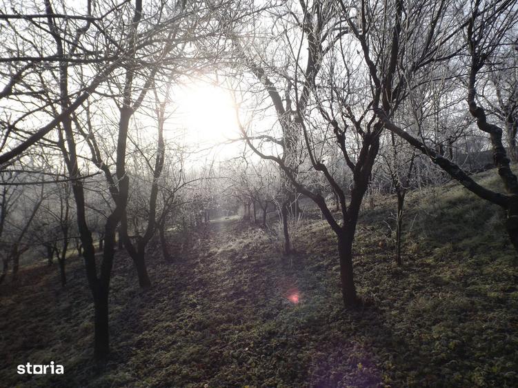 Proprietate compusa din casa batraneasca, casa P+M, Pocruia, Gorj - 1