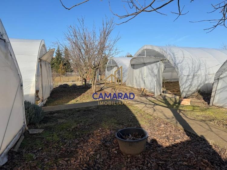 Teren intravilan vanzare - 2.750 mp – Darvari/Tamadalu Mare (judetul Calarasi) - 7