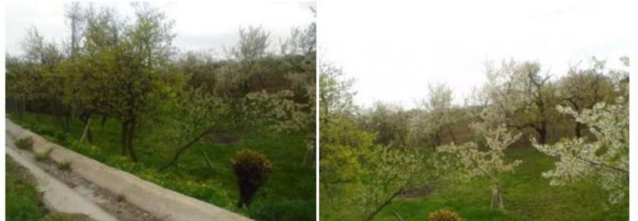 Teren extravilan livada cota parte 1/2 Candesti ID: R1965236 - 2