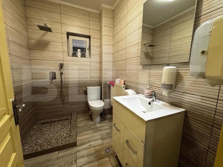 Casa individuala cu 5 camere de inchiriat 250 mp utili, zona centrala - 12