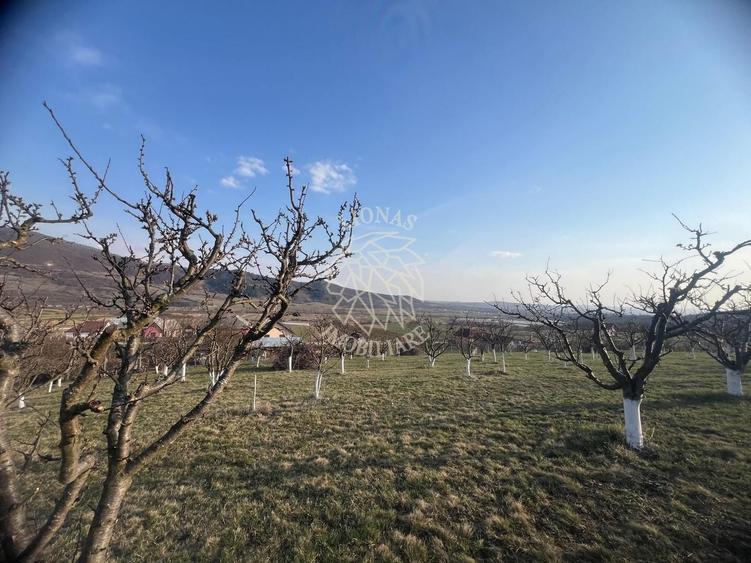 Teren 3100 mp-livada-ideal casa-Mititei - 2