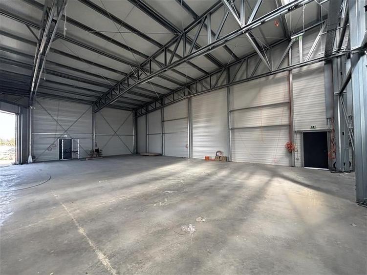 Vanzare depozit/hala/spatiu industrial Mogosoaia - Buftea - 5