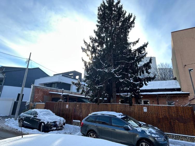 Baicului, Gara de Est, Pantelimon - 6