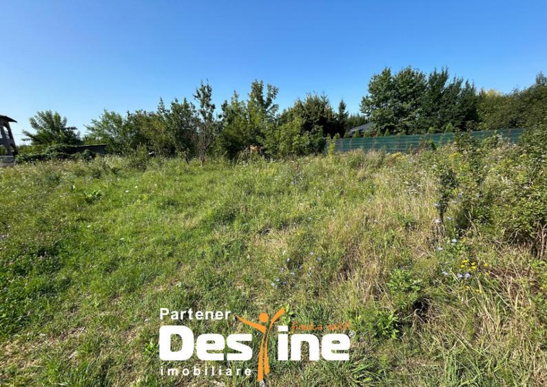 Teren Intravilan - Hlincea (Ciurea) 1000Mp - 5