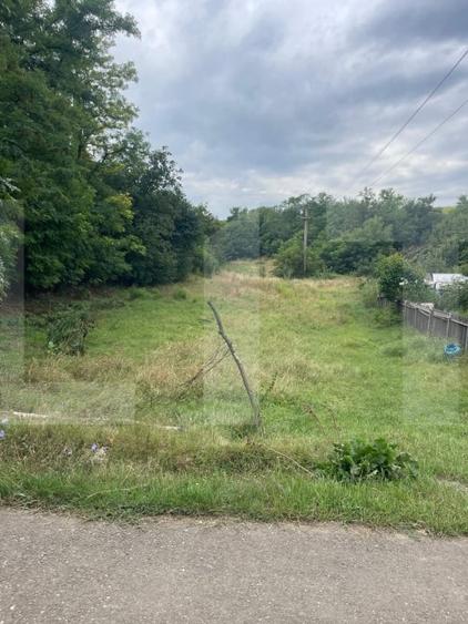 Teren agricol intravilan de 1900 mp, în Dorohoi