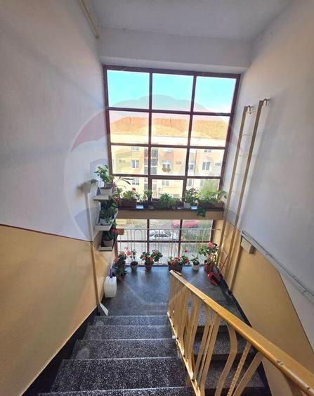 Apartament doua camere vis a vis de Vila Flora Medias - 17