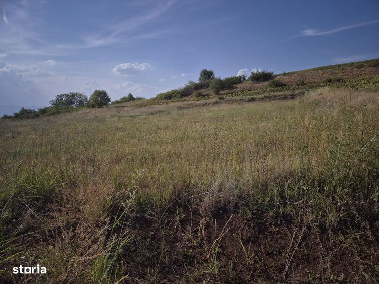 Teren de vanzare, cu utilitati, in Ciugud- Teleac - 1