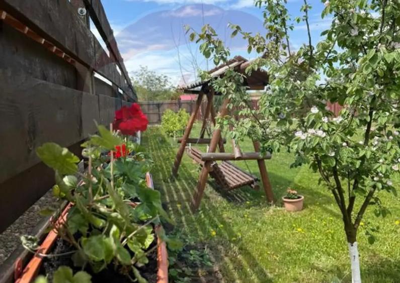 Teren de vanzare in Harman, zona Fish 4 Life ince... - 3