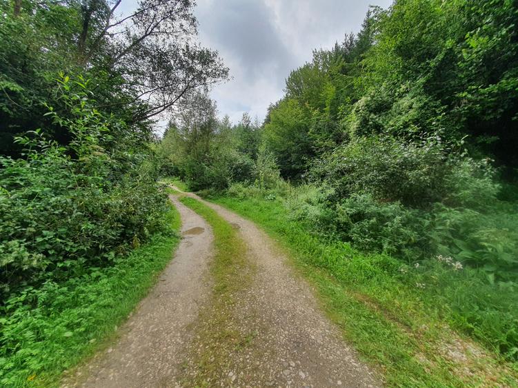 Teren Rasnov – Glajariei zona de pensiuni pretabil investitii 12 euro/mp - 2