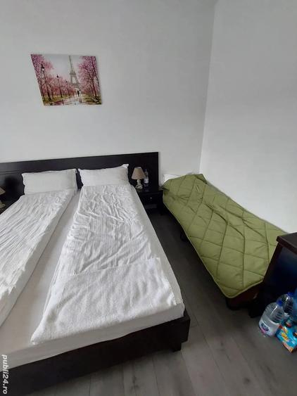 vand ap baile felix - 3